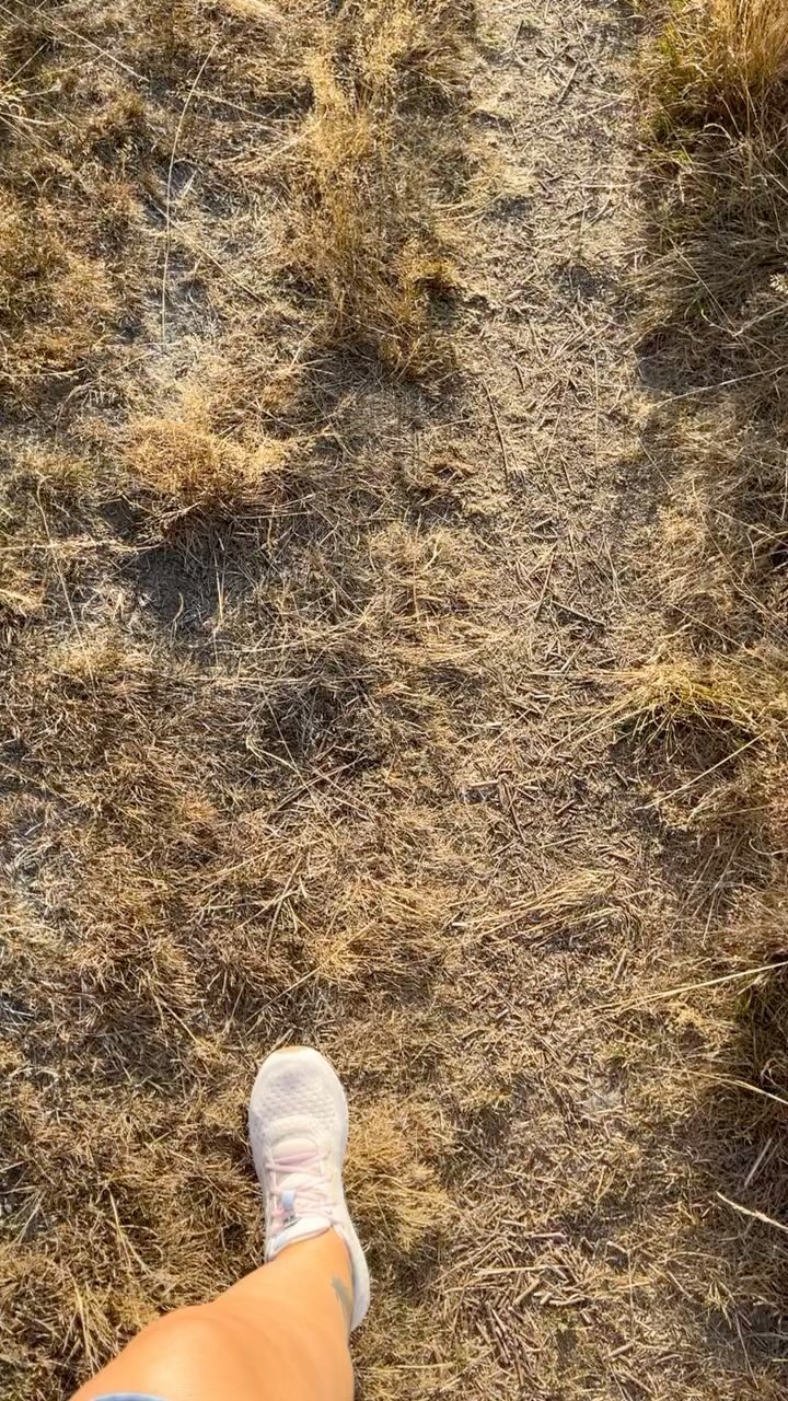 #caminotraining im Sauerland

-
#caminoaddict #caminoaddict #elcaminodesantiagodecompostela #jakobsweg #caminodesantiago #camino2023 #jakobsweg2023 #caminowithkids #jakobswegliebe #caminoliebe #derwegruft #caminoiscalling
#caminofrances #einmalpilgerimmerpilger 
#onceapilgrimalwaysapilgrim #jakobswegspanien #caminoaddicted