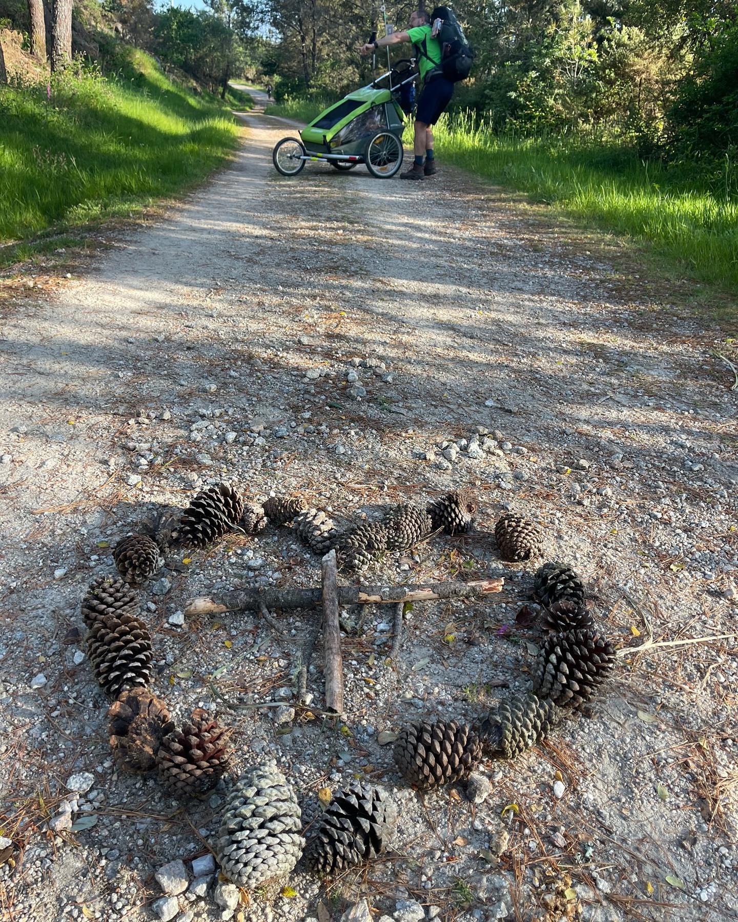 My Camino Meine Reisen auf dem Camino de Santiago